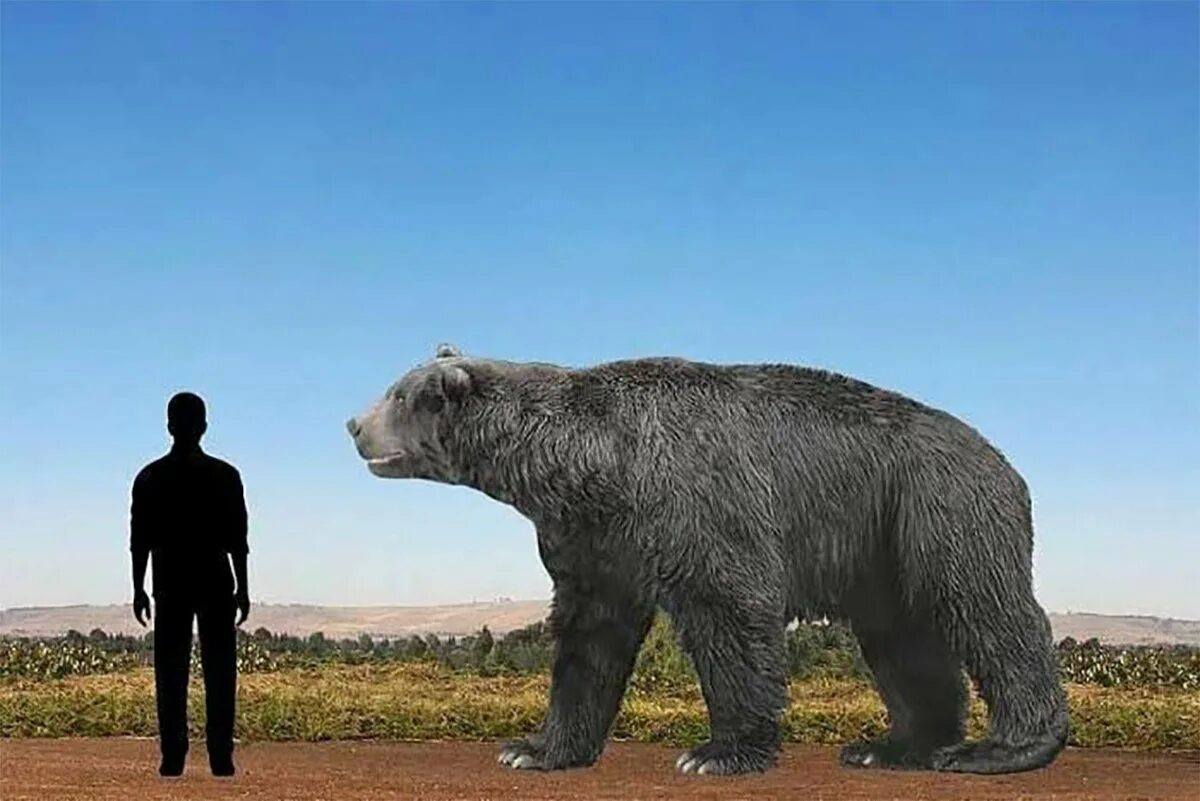 Самое крупное в истории. Аралотерий и индрикотерий. Самые большие в мире животных. Самое крупное в истории. Гигантский синий кит.