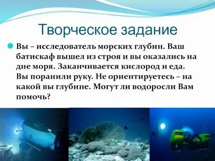 Исследователь морских глубин 8 букв сканворд