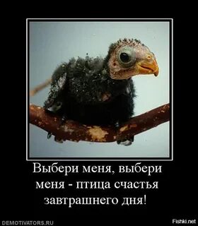 Я без взгляда твоего как птица