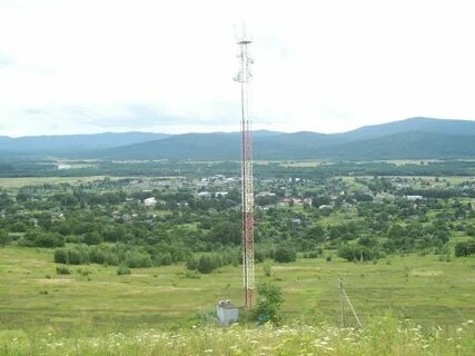 В бире