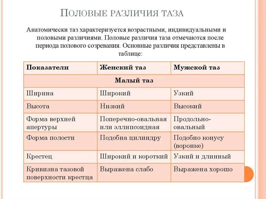 Гендерное различие полов. Гендерные различия таза. Половые различия. Возрастные различия таза кратко. Половые различия таза.