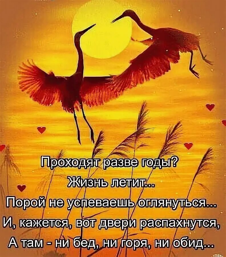 Жизнь пролетит не успеешь. Жизнь летит. рождение жизни. жизнь пролетит не успеешь оглянуться она. жизнь пролетела.