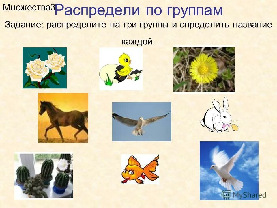 распредели игры в две группы. объедини предметы в группы. распределение по группам игра. дикие и домашние животные. распредели игры в две группы.