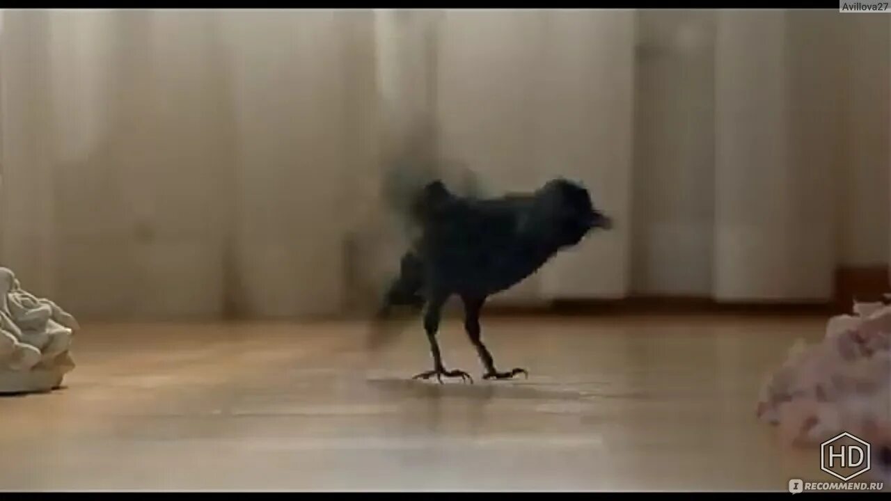 Постылый скрежет. Постылый скрежет