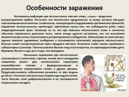 Характеристика заражения