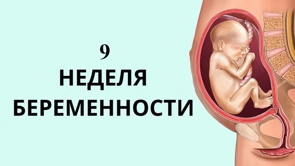 3 неделя июня