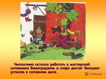 Каталог чиполлино оренбург