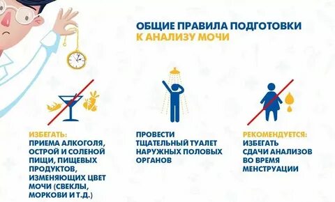 Подготовка пациента к анализу мочи