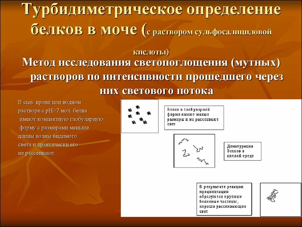 Количественное определение белков в крови. Определение белки в мочи. Методы исследования белка в моче. Количественные методы определения белка в моче. Количественный метод определения белка в моче.