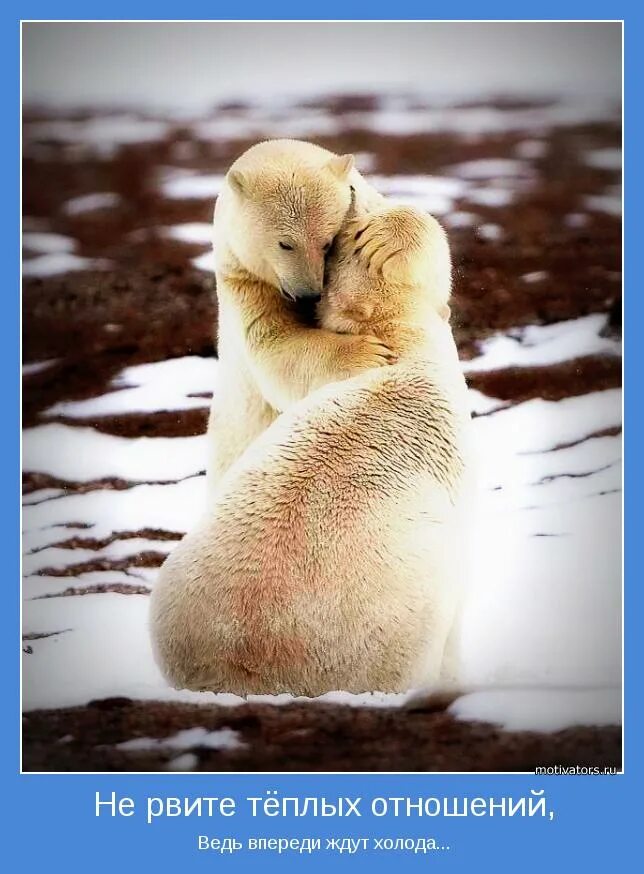 Счастливая пара. Открытки для любимого человека на расстоянии. Стихи про расстояние. Хочешь теплых отношений. Фразы греющие душу.