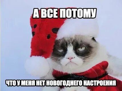 Не хочу новый год одна