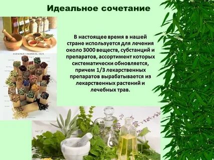 Как использовали травы в современной медицине