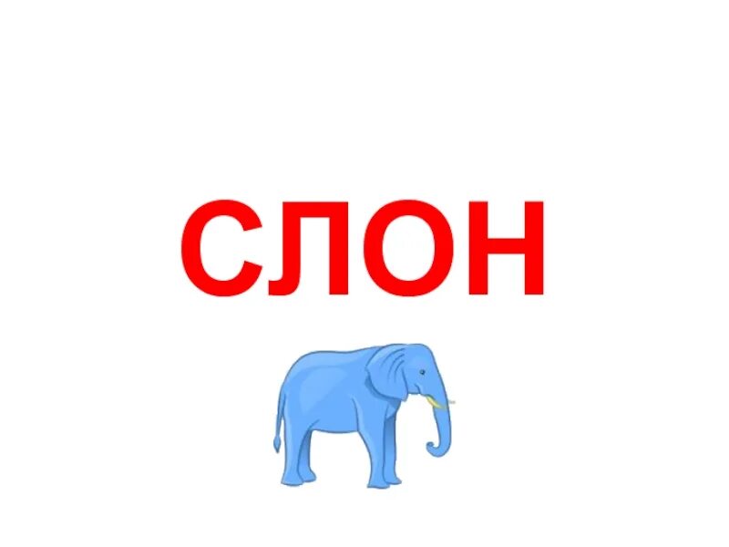 Слово слон