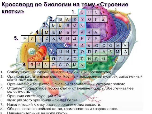 Кроссворд живые клетки. Кроссворд по биологии. Кроссворд клетка по биологии. Кроссворд на тему клетка по биологии. Кроссворд на тему клетка.