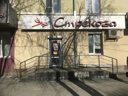 Салон стрекоза телефон