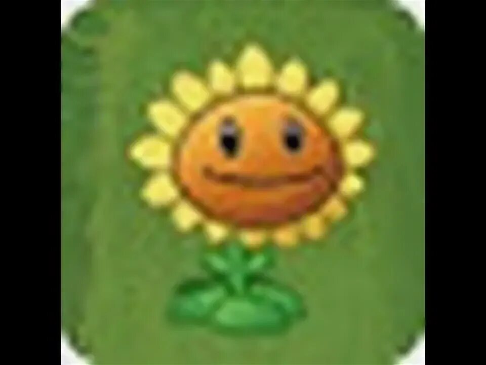 Подсолнух пвз r34. Plants vs zombies подсолнух. подсолнух из игры растения против зомби. карточки растения против зомби подсолнух. sunflower pvz 1.