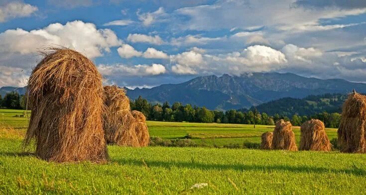 Laeacco Farm Harvest Field Hay Bales Landscape Photography Backgrounds Vinyl Cus