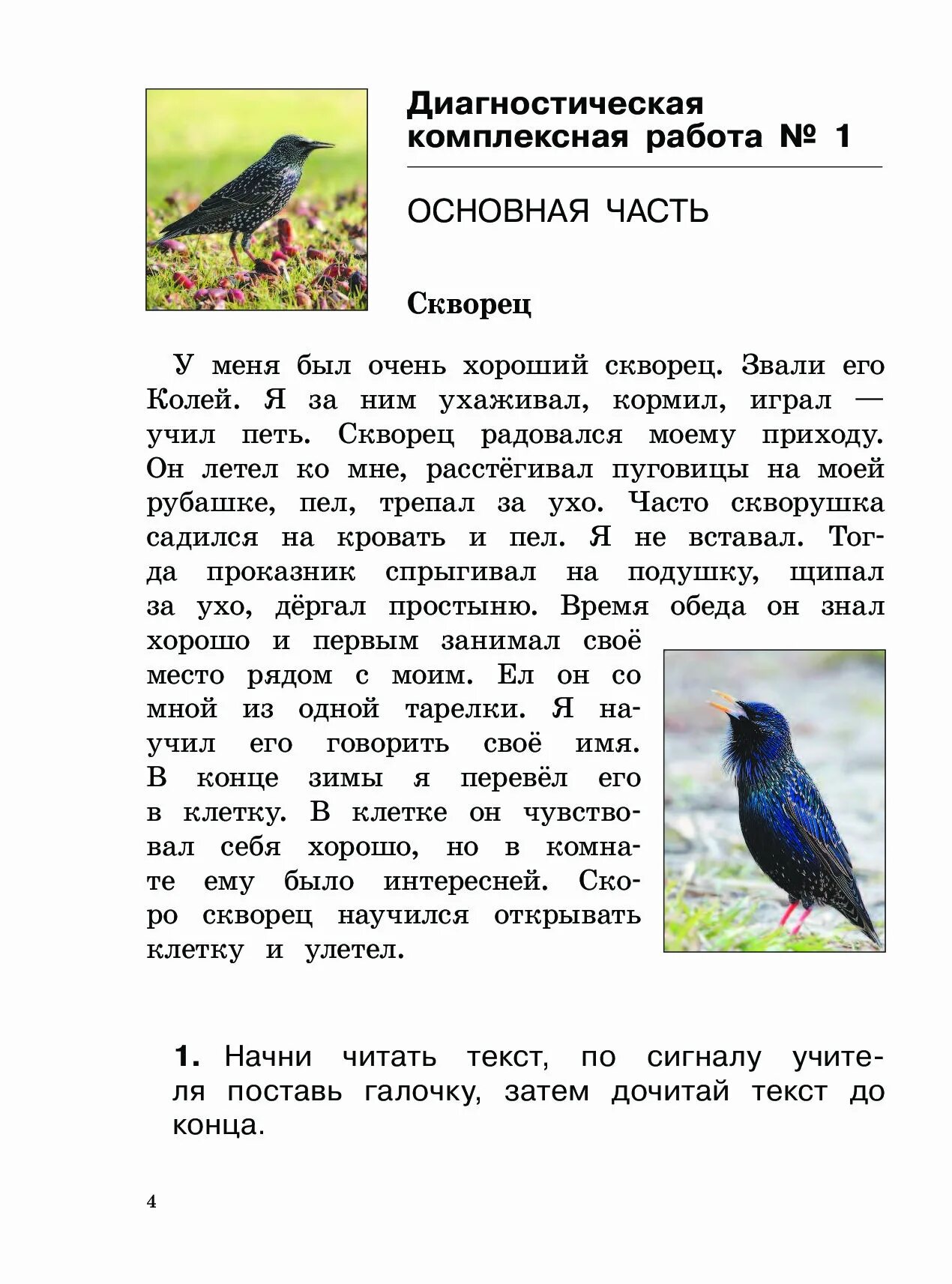 3 класс розовый скворец. Комплексная работа. диагностические комплексные работы. комплексные работы работа с текстом. комплексная работа 1 класс.