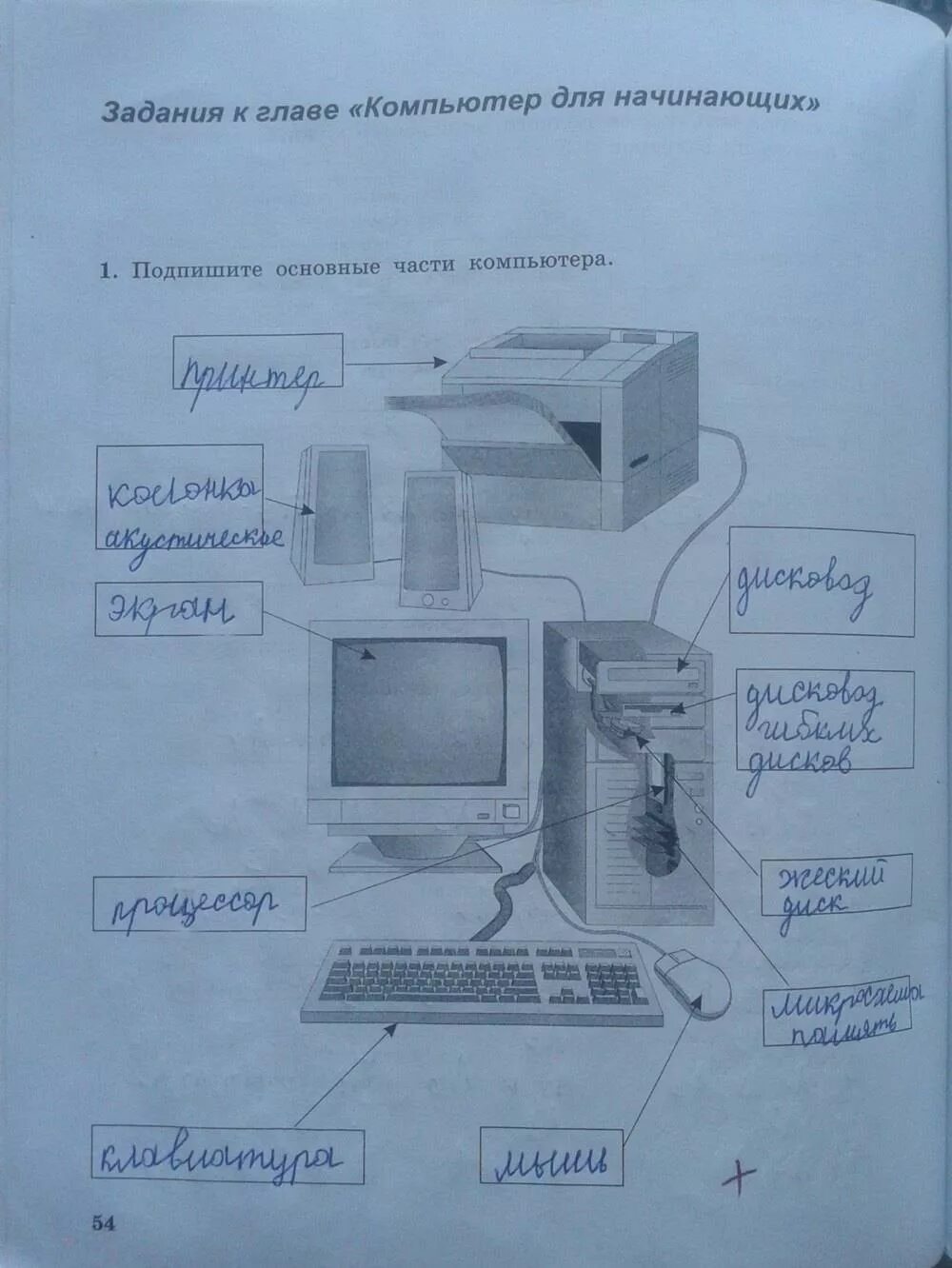 Компьютерные части Dilde Live Worksheets