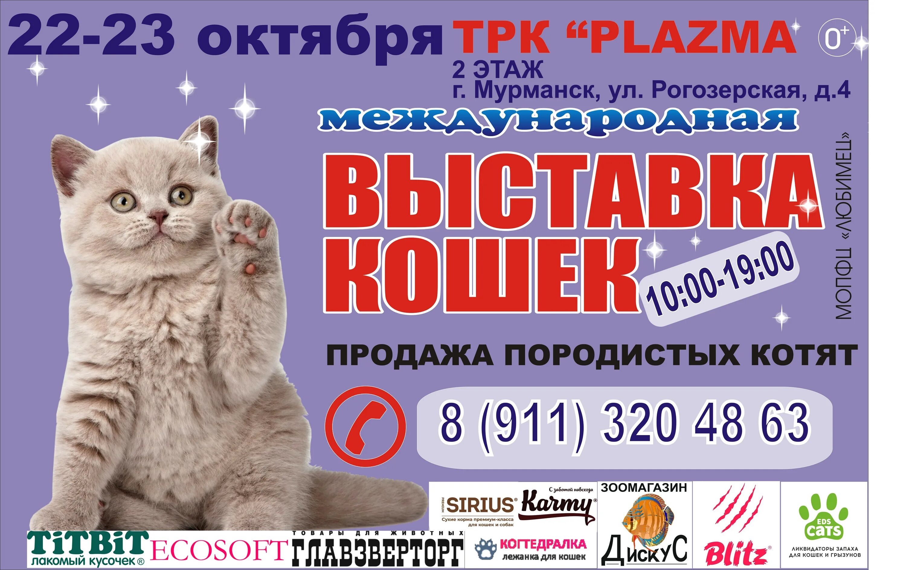 Выставка кошек Мурманск. Плазма Мурманск выставка кошек. Выставка кошек Нижнекамск. Билет на выставку кошек.