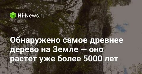 Более 5000 лет