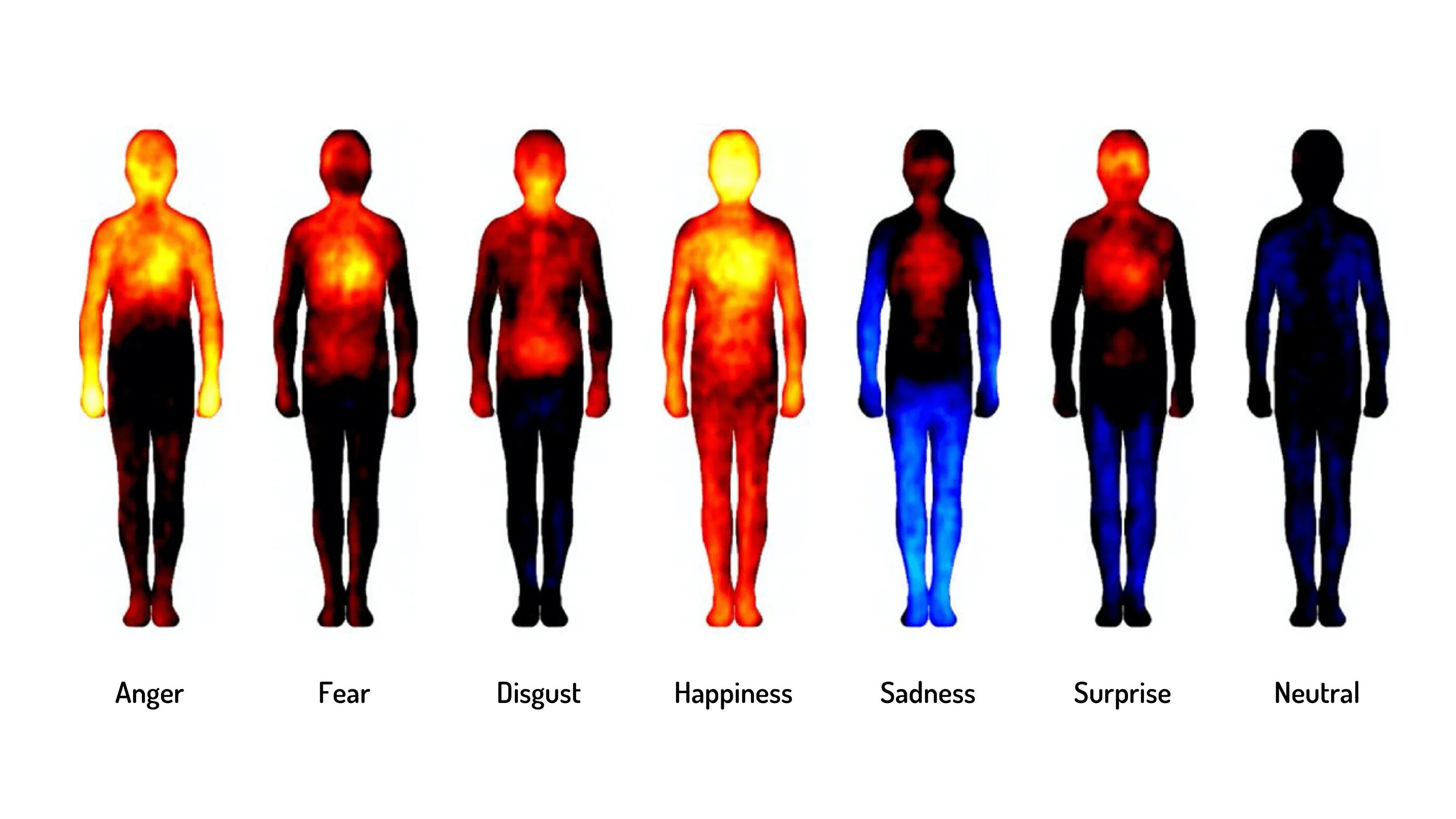 Температурная карта эмоций. Чувства и эмоции в теле. Тепловая карта эмоций. Чувства в теле человека.