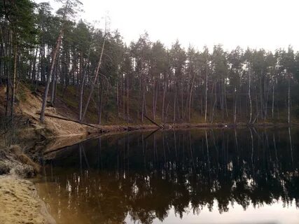 Озеро светлое нижегородская область