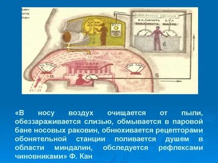 Что человек делает с воздухом