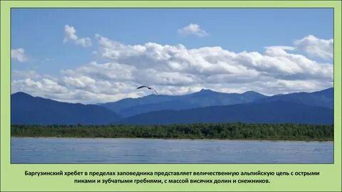 1 баргузинский заповедник