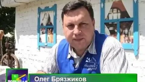 Камышин тв