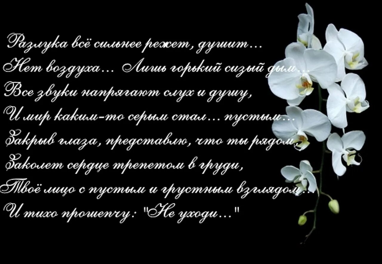 Открытка маме 40 дней. Поминальные стихи. Поминки мамы стихи. Некролог в стихах. Памяти любимого мужа стихи.