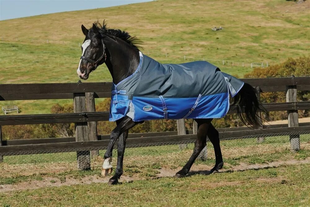 Лошадь в одеяле. Horse blanket. Худая лошадь. Покрывало для лошади закрывающее спину. Horse blanket виды.