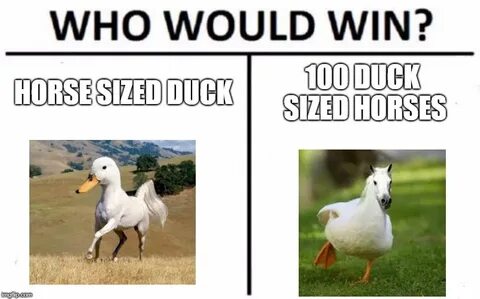 Who would win