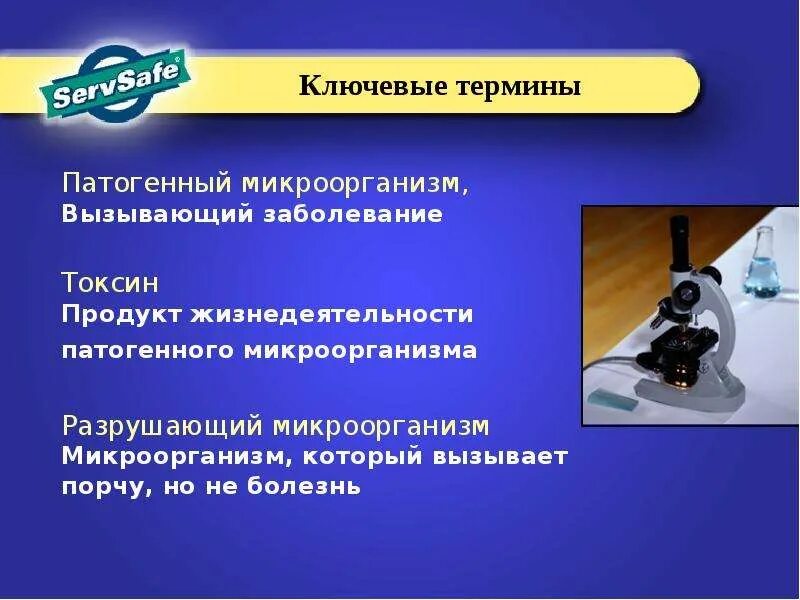 Микроорганизмы которые вызывают порчи продуктов но не болезнь. Патогенная и условно-патогенная микрофлора. Патогенность микробов. Патогенные микроорганизмы. Продукт жизнедеятельности патогенного микроорганизма это.
