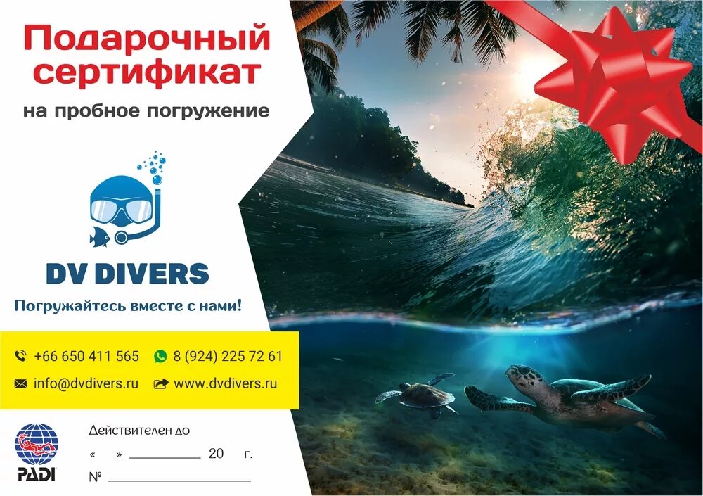подарочный сертификат на дайвинг в спб. подарочный сертификат дайвинг. дайвинг в подарок сертификат. сертификат на пробное погружение с аквалангом. подарочный сертификат дайвинг.