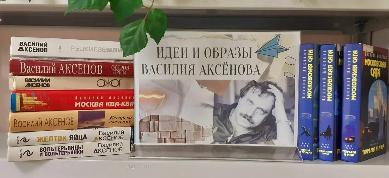 Книги аксенова отзывы. Остров Аксенов книжная выставка.