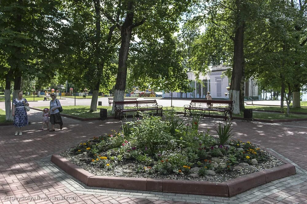 Городской сад ростов-на-дону. Городской парк ростова великого. Новопоселенский сад ростов на дону. Городской парк ростова великого. Городской сад ростов.