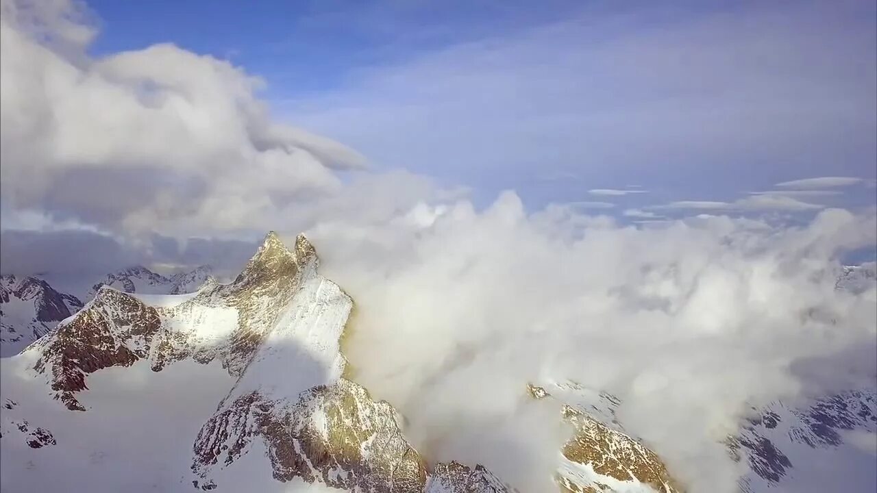 Альпа видео