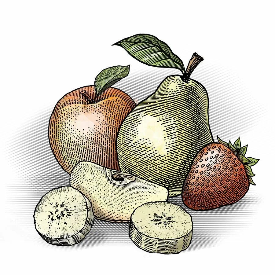 Фрукты рисунок. Фрукты арт. Фрукты арты. Art Fruit фрукты. Красивые рисунки фруктов.