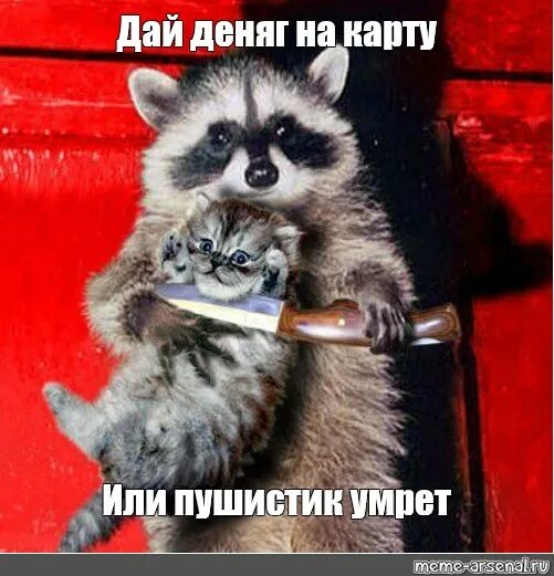 Иначе р. Иначе р. Свитшот с имитацией корсета. Иначе р. Иначе р.