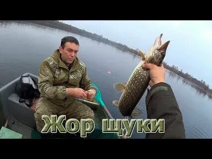 Щука осенью видео