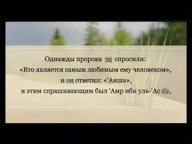 Спросил пророк