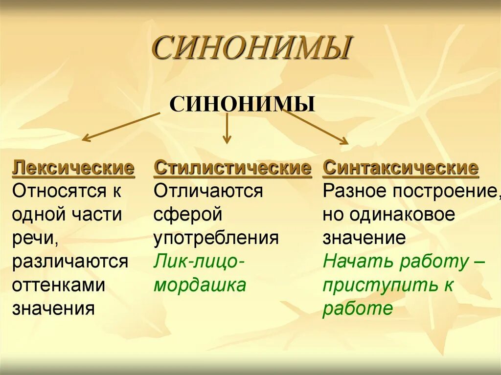 Какие слова синонимы а какие антонимы. Синонимы антонимы омонимы. Омонимы синонимы антонимы паронимы и их употребление. Синонимы антонимы и их употребление. Лексика омонимы синонимы антонимы паронимы.