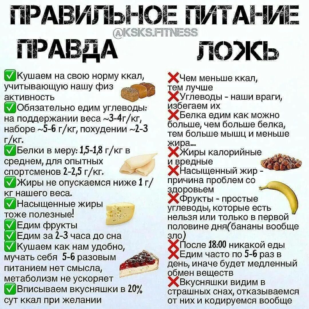 Первую половину дня кушать. Список правильного питания. Продукты питания список. Еда для правильного питания список. Еда для похудения список.