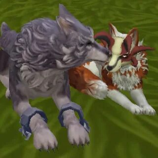 Wildcraft кристаллы