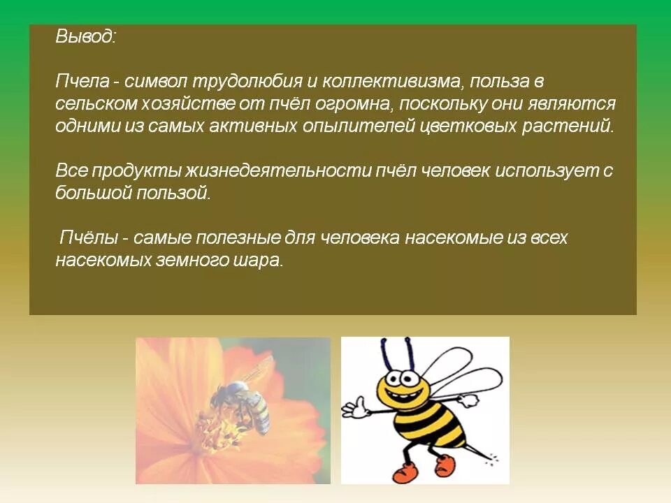 Исследование конечностей домашней пчелы какая биологическая наука. Вывод про пчел. Пчеловодство вывод. Заключение про пчел. Вывод для проекта про пчел.