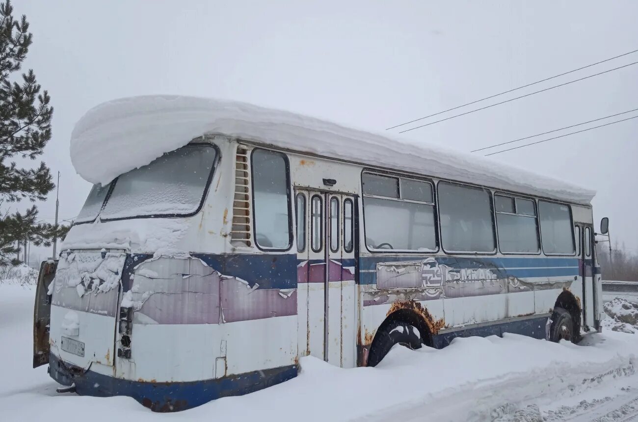 Пожва пермь автобус. ЛАЗ 695н. ЛАЗ 695 атасс. Автобусы Пермский край. ЛАЗ 695 Новосибирская область фото.