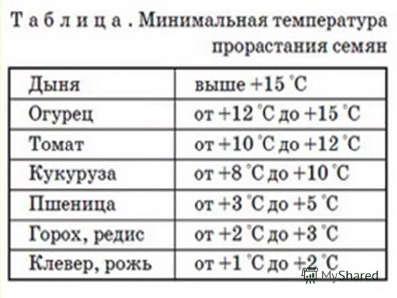 Огурцы в открытом грунте какая температура. Оптимальная температура для прорастания семян. Минимальная температура прорастания семян. Температура при прорастании семян. Проращивание семян температурный режим.