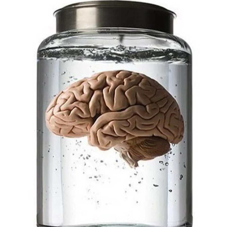 Мозг человека в банке. Человеческий мозг в формалине. Мозг человека в банке. Мозг человека в банке. Человек в банке стеклянной.