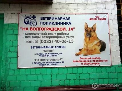 Ветаптека невинномысск